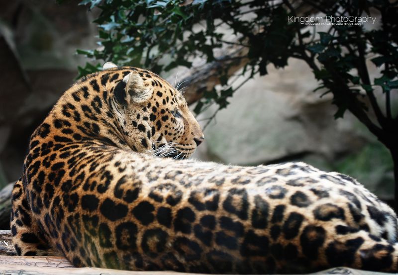 阔别已久的动物园-19摄区-杭州19楼