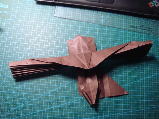 小三初折越南鹰,好累哎-纸艺-手工DIY-杭州19楼
