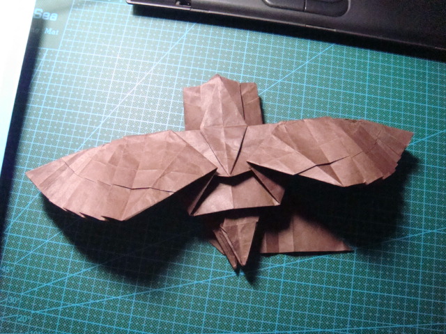 小三初折越南鹰,好累哎-纸艺-手工DIY-杭州19楼