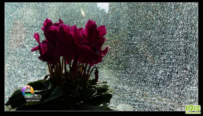 一场灾难,南面落地钢化双层玻璃自爆啦…