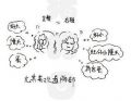 鿴ß