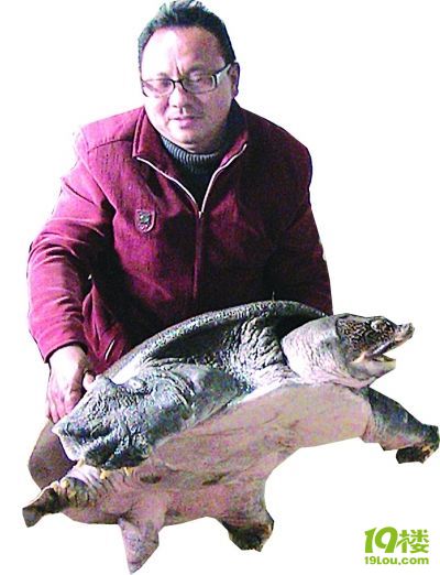 84斤大甲鱼死后身份成迷 旅游局告卖家欺诈 (组