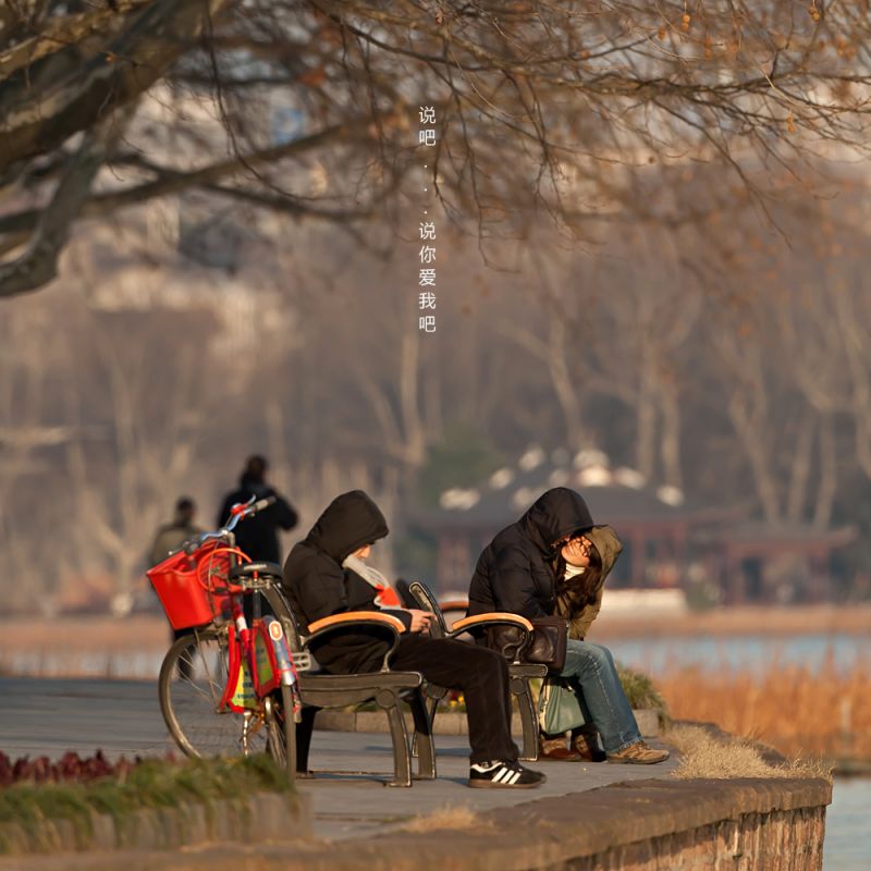 说吧.说你爱我吧