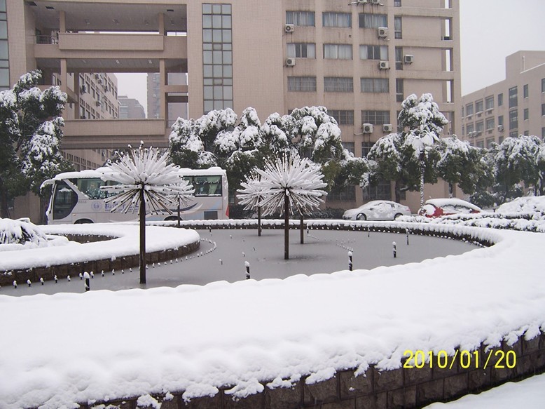 下雪了,好开心哈,不一样的雪地风景图啊-扫街小