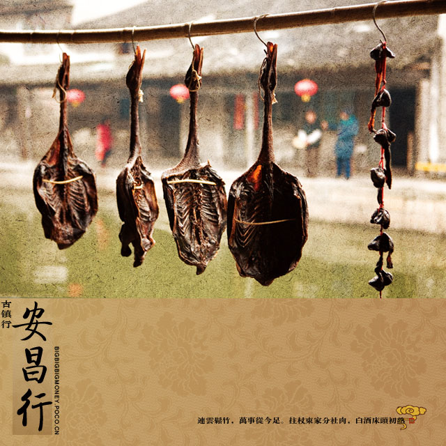 《古镇安昌最年味》新年短途游路线推荐附行车