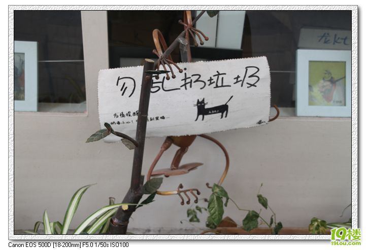 厦门越狱攻略-想美食想游玩想小资,那么去厦门省钱攻略版图片