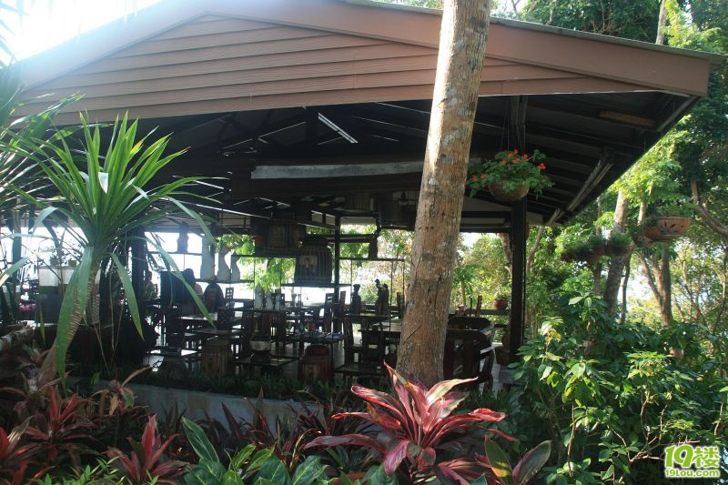 【完全自助行】普吉-PP岛-斯米兰群岛-曼谷八