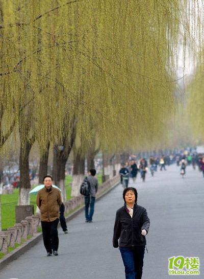 3月9日杭州天氣預(yù)報|杭州天氣