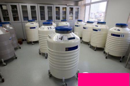 (揭秘)精子库捐献者95%是大学生一次三千元还王霞教程图片