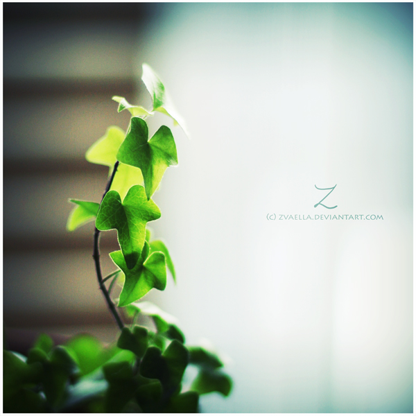 reaching for the stars-音乐心情-音乐天堂-杭州1