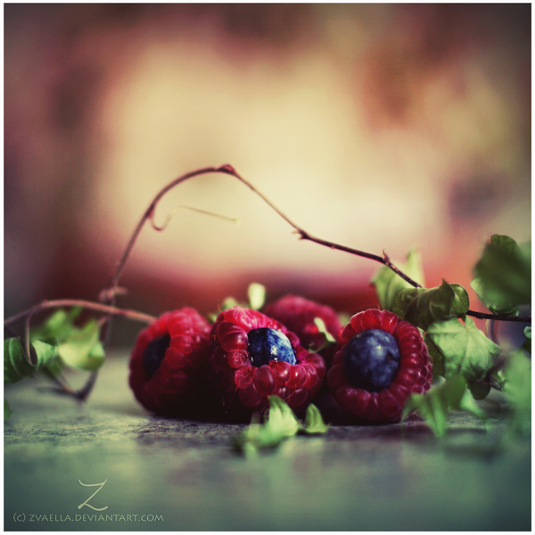 reaching for the stars-音乐心情-音乐天堂-杭州1