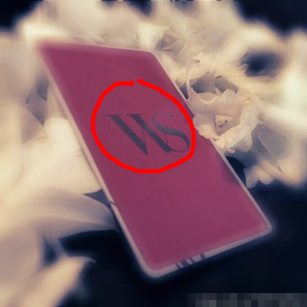 直击大S徐熙媛汪小菲婚礼现场! 真正的猥琐-八