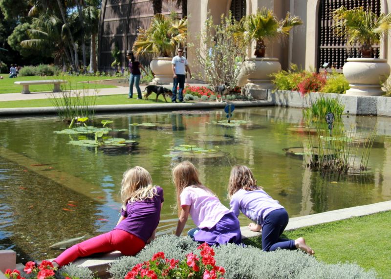 春天到了,美国人去公园看什么-边走边拍-边走边