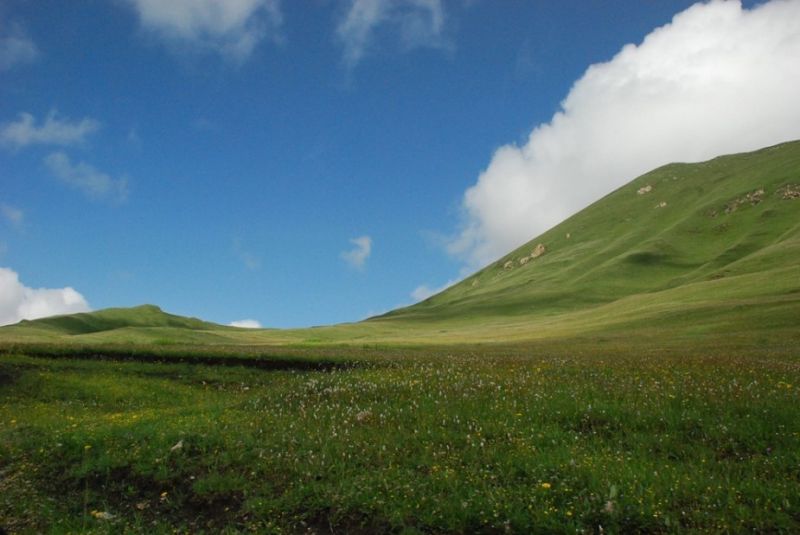 五一甘南、川北、九寨沟结伴出游(端午团队