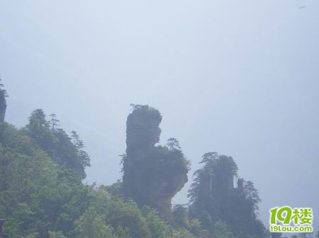 暴走驴子穷游张家界归后感(含详细价格费用