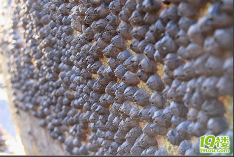 中国领海线基点所在--渔山列岛