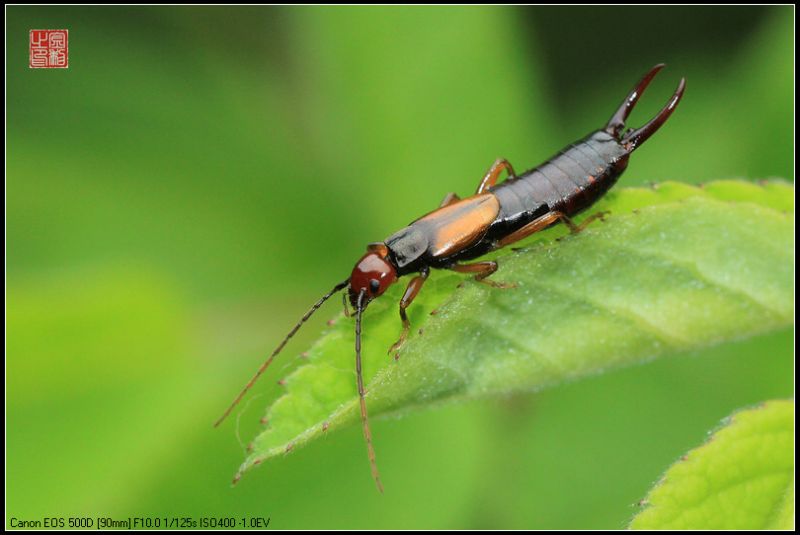 90微试镜拍虫-19摄区-杭州19楼