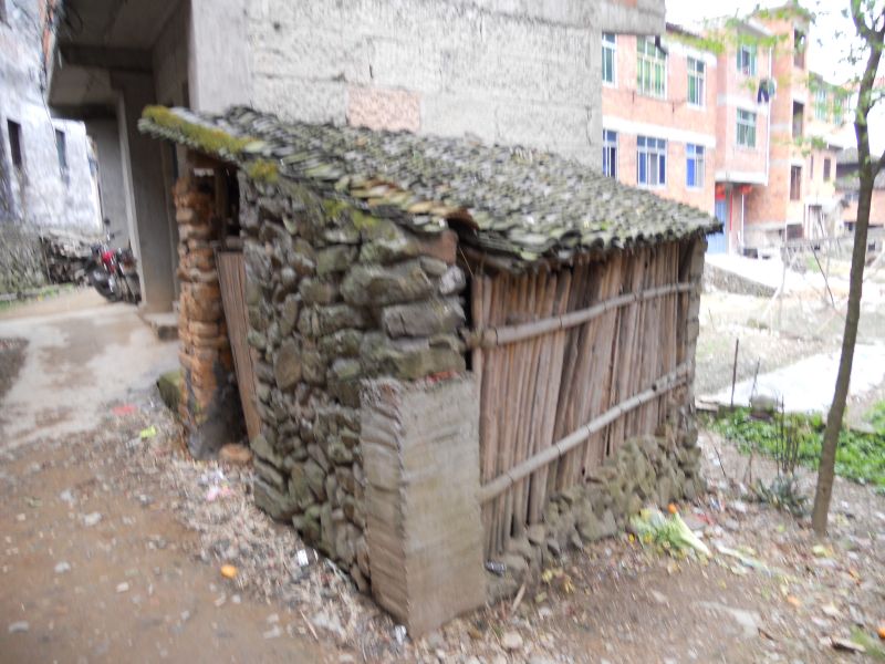 惊,茅坑?粪坑?蹲坑?-边走边拍-边走边拍-杭州1