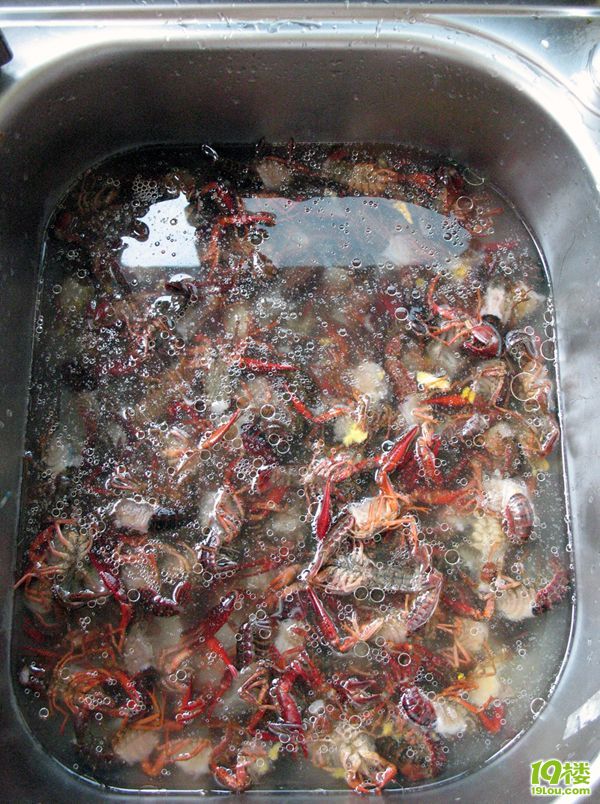 520ڶnuСr˼_