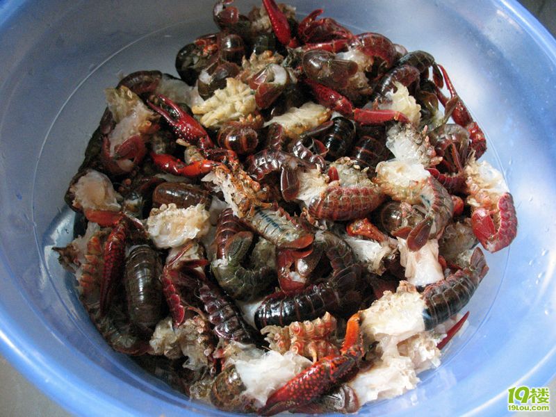 520ڶnuСr˼_