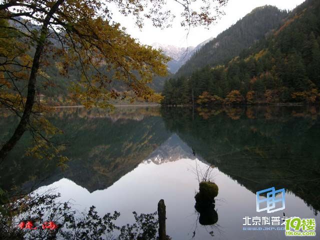 2011年九寨沟、黄龙自助游·自由行最新攻略