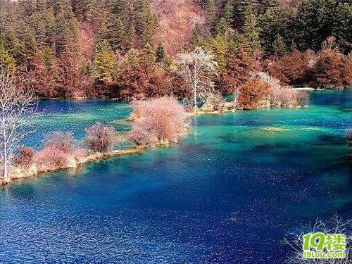 2011年自助游●自由行第一号九寨沟v攻略的交第四章之攻略刃时光图片