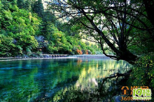 2011年自助游●自由行第一号九寨沟旅游的交thecave科学家攻略图片
