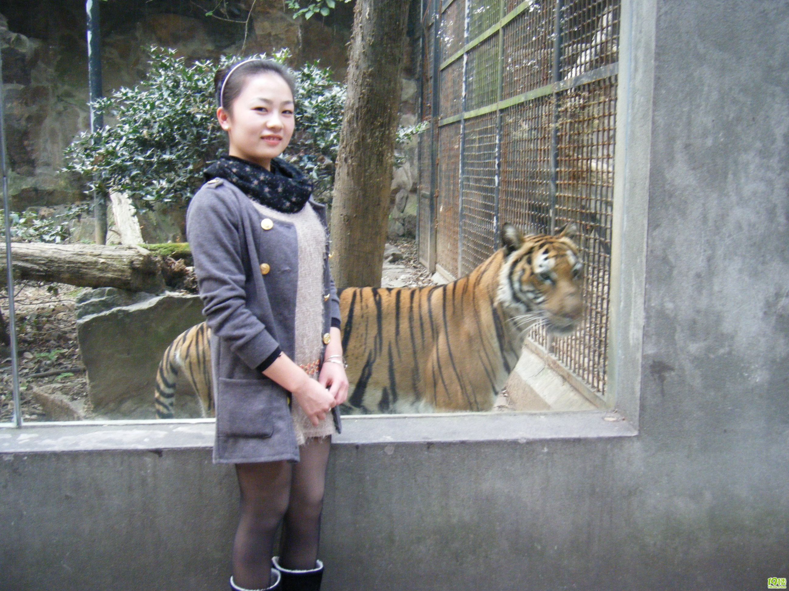 老婆+对不起!老公爱你!