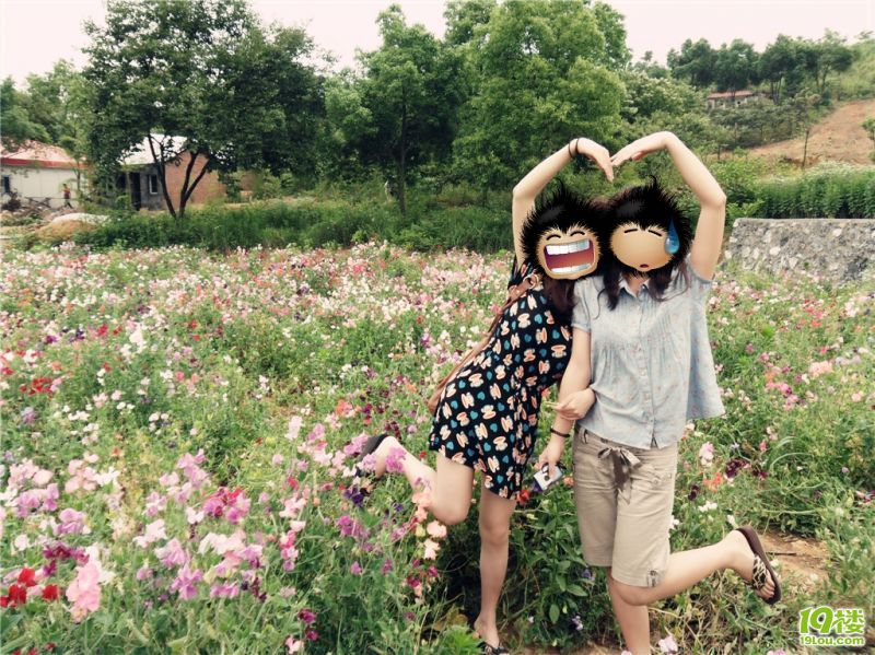 寝室<em>三姐妹</em>看熏衣草-<em>杭州</em>旅游-<em>杭州</em>19楼