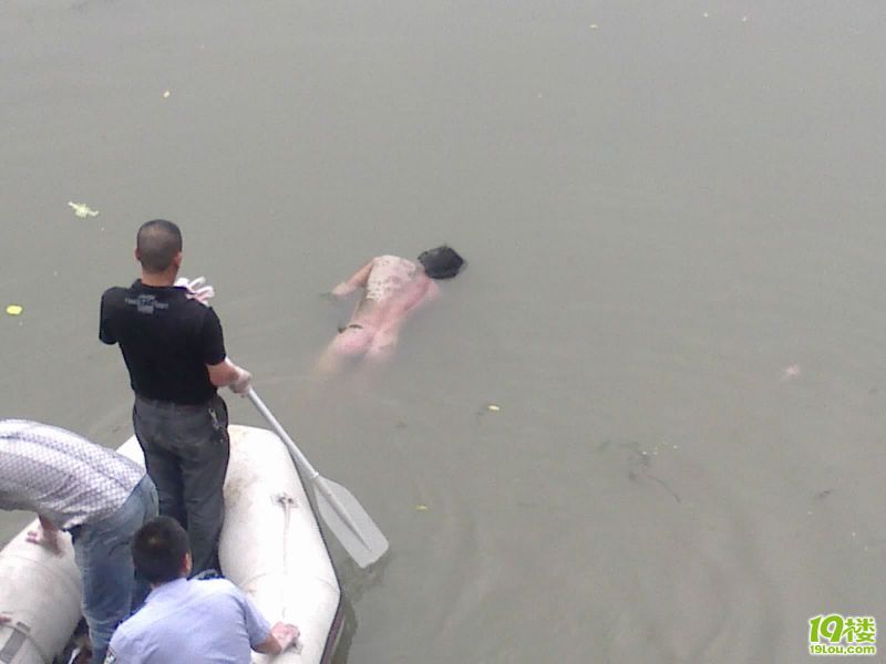 西溪湿地旁边的小河,打捞尸体。-草根消息-杭州