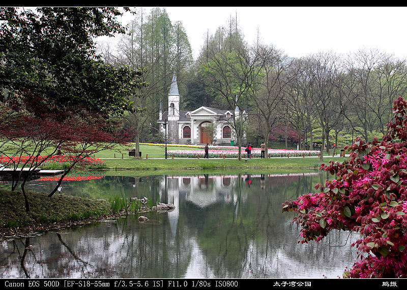 用佳能狗头拍的片子-风景照-19摄区-杭州19楼