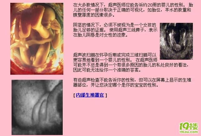 14周B超最能看出宝宝的性别-准妈妈论坛-杭州