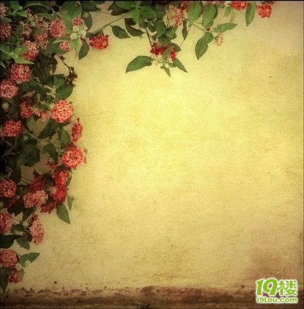 如果我没有爱过你我不会懂得没入尘埃开出心花