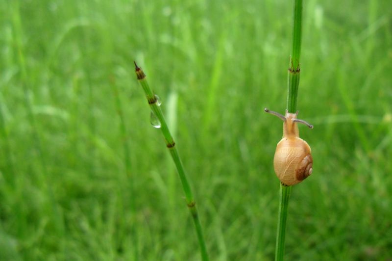 雨中的小蜗牛-边走边拍-杭州19楼