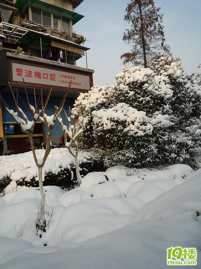 牙医在线--老贴新开-网友互助-杭州19楼