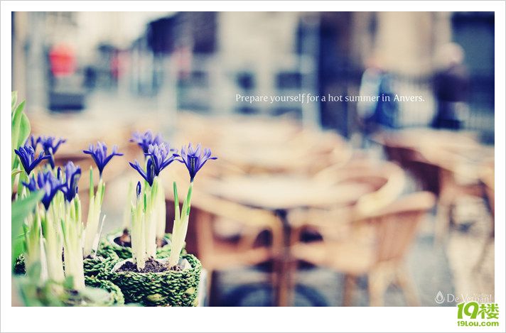 只有音乐才是我的解药