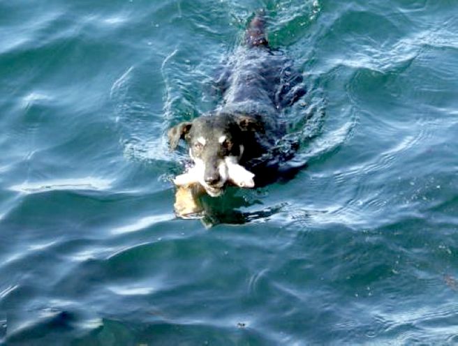 好图大家看之四十《疯狂钓鱼》[20P]-养眼搞笑