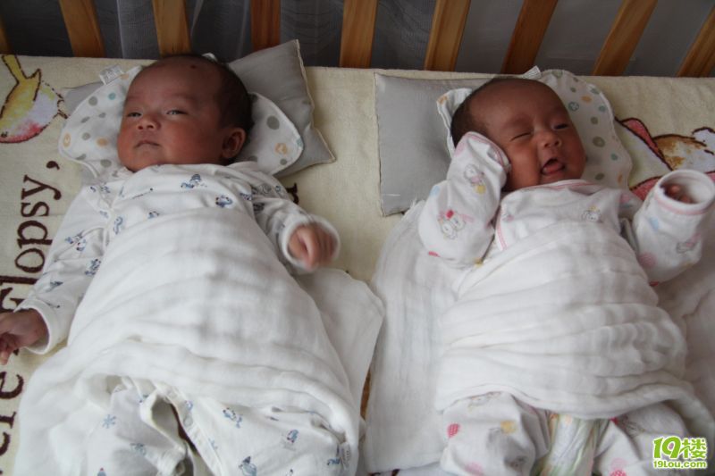 双胞胎超顺产记(照片更新至9月10日324楼) -分