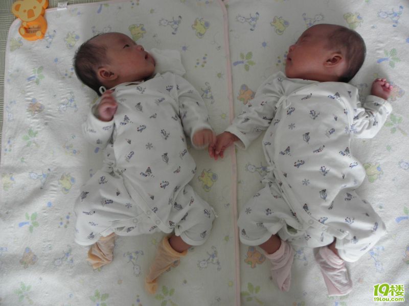 双胞胎超顺产记(照片更新至9月10日324楼) -分