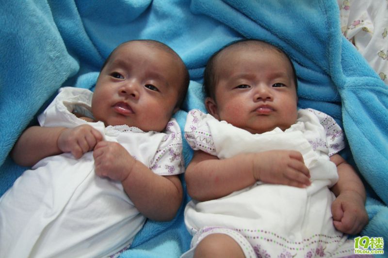 双胞胎超顺产记(照片更新至9月10日324楼) -分