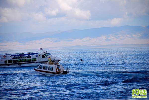 进神秘的安多藏区,感受青海湖的浩瀚苍穹.-结伴