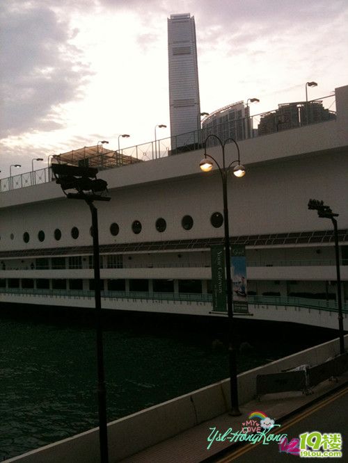 5天4晚香港自助游,从这里开始~旅游+护肤小秘旅行飞蛾青蛙攻略图片