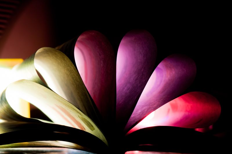 把你的心我的心穿一串-静物-19摄区-杭州19楼