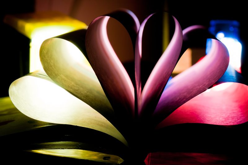 把你的心我的心穿一串-静物-19摄区-杭州19楼