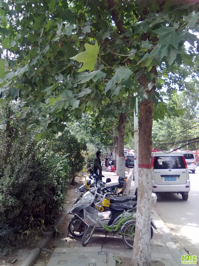 这个<em>夏天</em>真的<em>不热</em>吗 太极哥有图有真相第一次