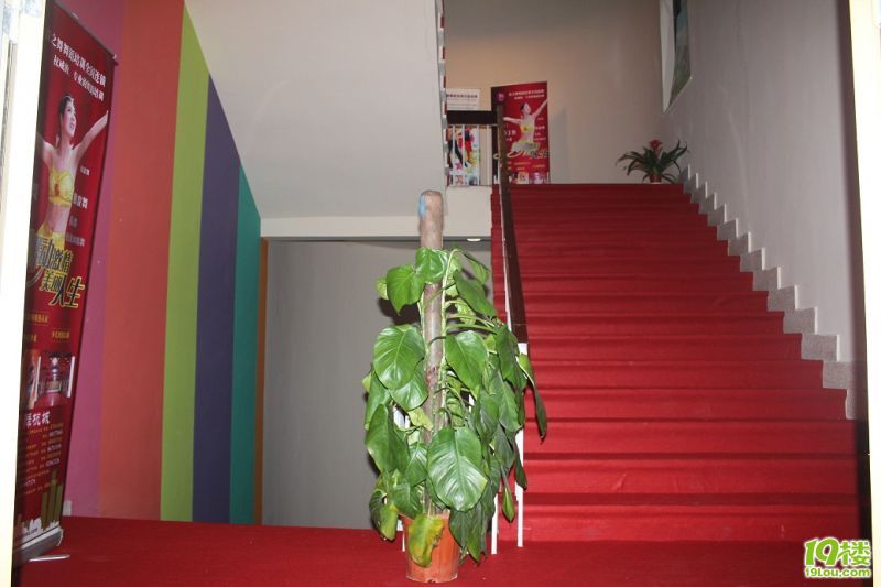 我们一起来跳舞吧-爱跳舞-杭州19楼