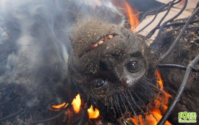 非洲非法野味市场中残忍一幕:炭火烧猴头(高清