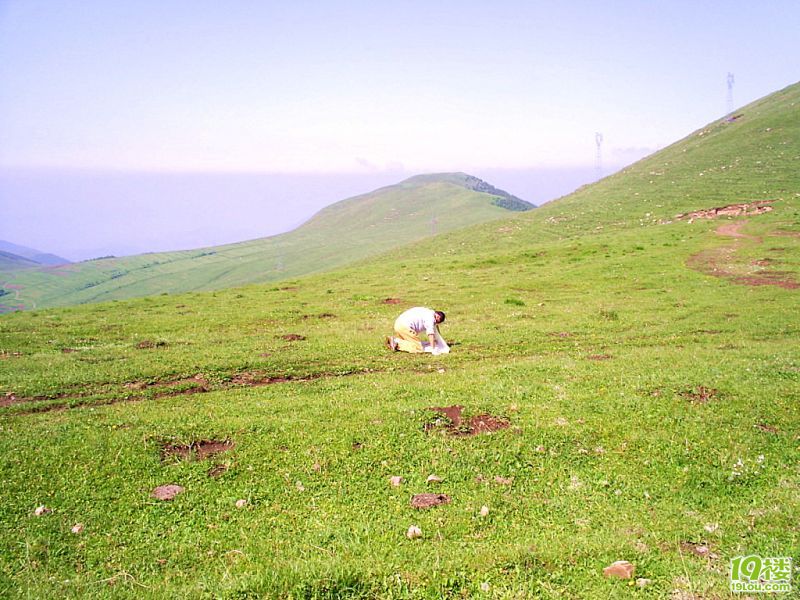 五台山大朝台--那一年 磕长头匍匐在山路