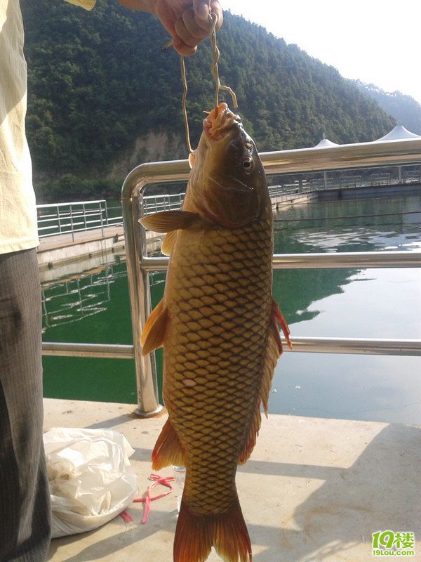 杭州城北小佳千岛湖钓鱼记!-驴行游记-钓鱼俱乐