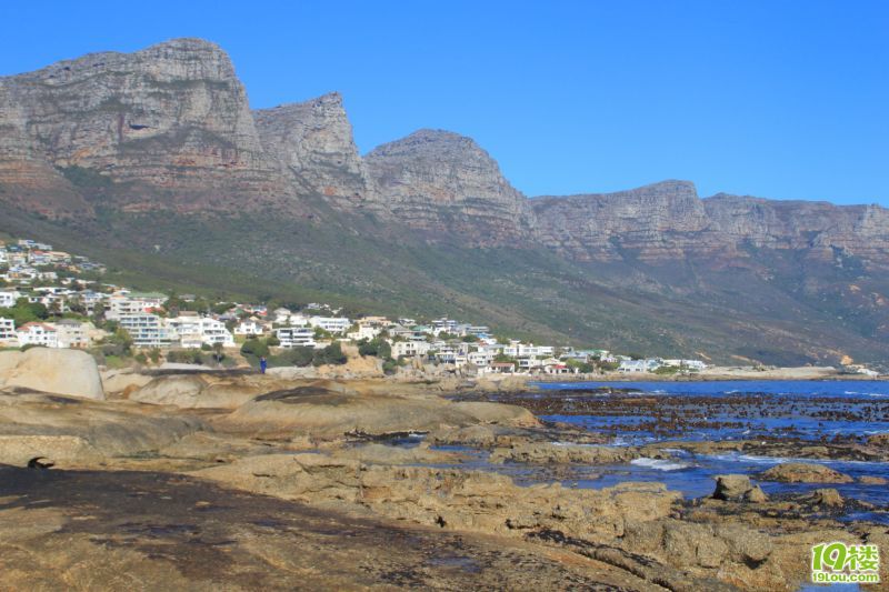 【南非深度游】--野生南非一头鲍~才100块?!-